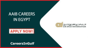 AAIB Careers